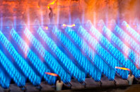 Skeldyke gas fired boilers